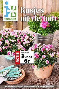 Folder Intratuin