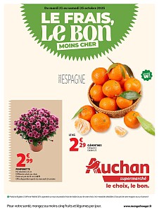 Folder Auchan