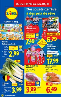 Folder Lidl