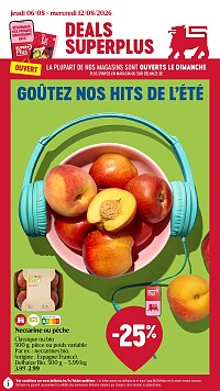 Folder Delhaize
