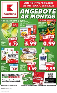 Folder Kaufland
