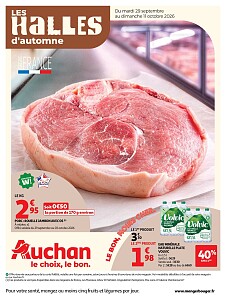 Folder Auchan