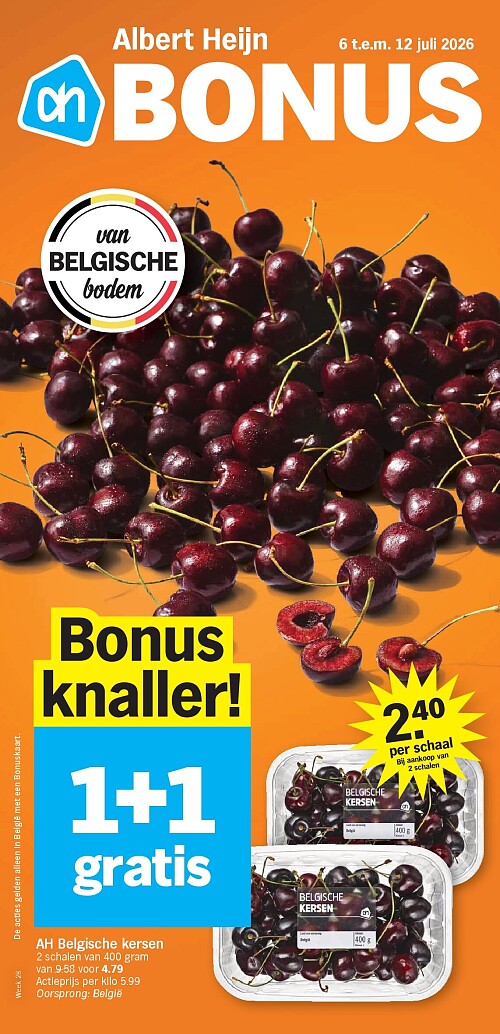 Folder Albert Heijn