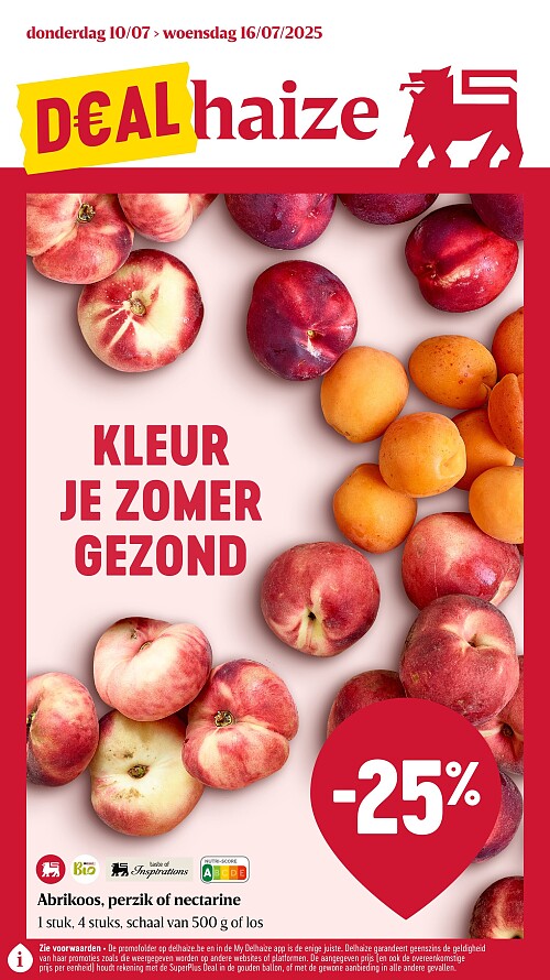 Folder Delhaize