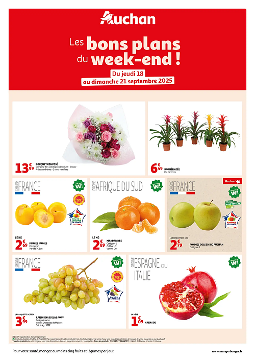 Folder Auchan