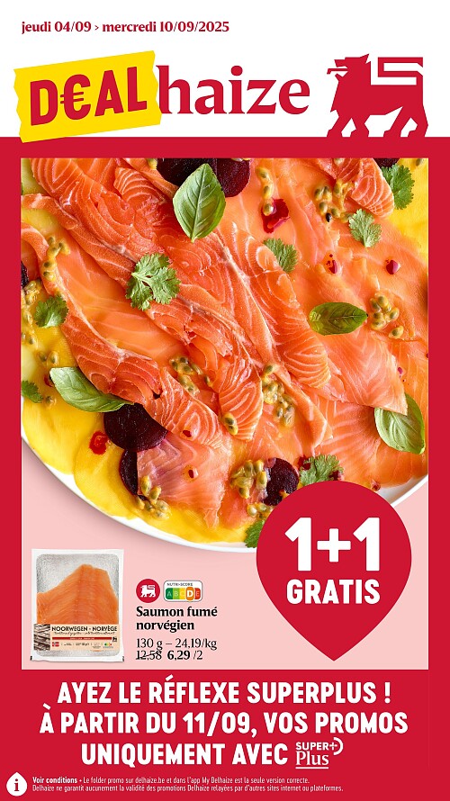 Folder Delhaize