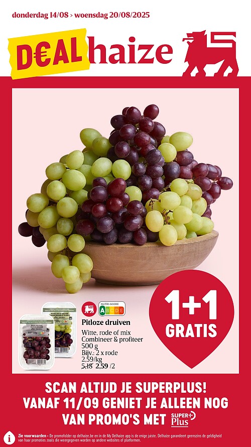 Folder Delhaize