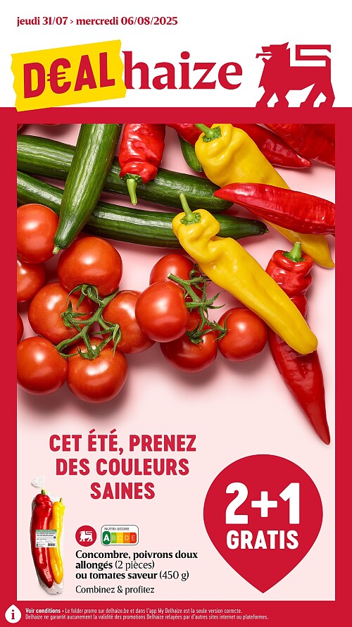 Folder Delhaize