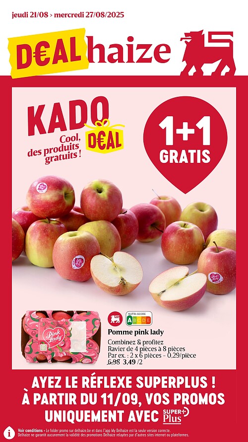 Folder Delhaize