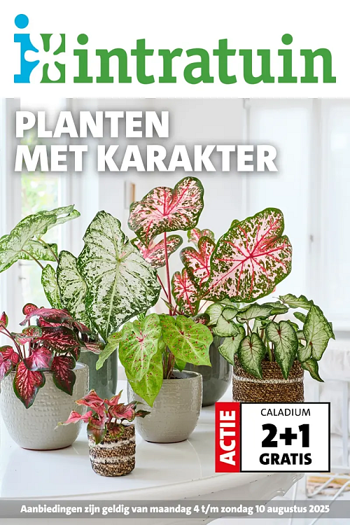 Folder Intratuin