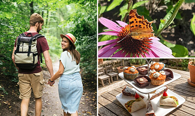 Mini-proeverij + evt. wandeling + koffie/thee en gebak bij Jorine's Theetuin