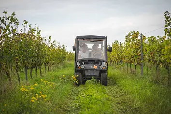 Wijntours | Ontdek de regio in een golfkar incl. lunch + fles Bilzamico