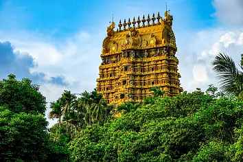 Sensationele Sri Lanka-tour met een spannende safari