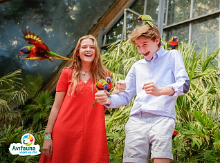 Toegangsticket Vogelpark Avifauna + XXL-speeltuin