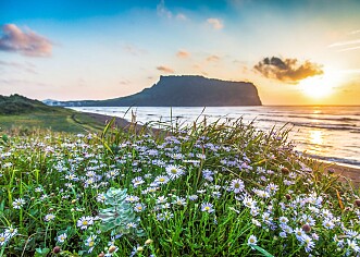 Betoverend avontuur in Zuid-Korea van de DMZ tot Jeju Island