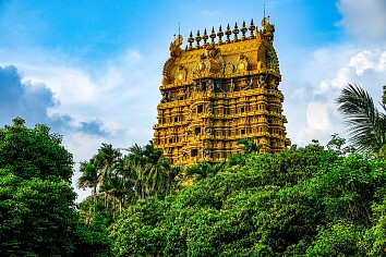 Sensationele Sri Lanka-tour met een spannende safari
