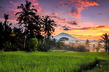 Luxeverblijf op Bali met wellness & villa met privézwembad
