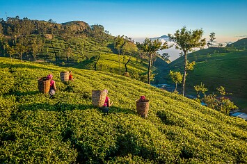Onvergetelijke Sri Lanka-tour met epische ervaringen