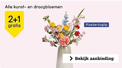 Alle kunstbloemen en droogbloemen 2+1 gratis bij Leenbakker