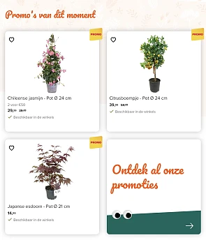 Van bloem tot boom
