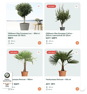 Buitenplanten tot -60%