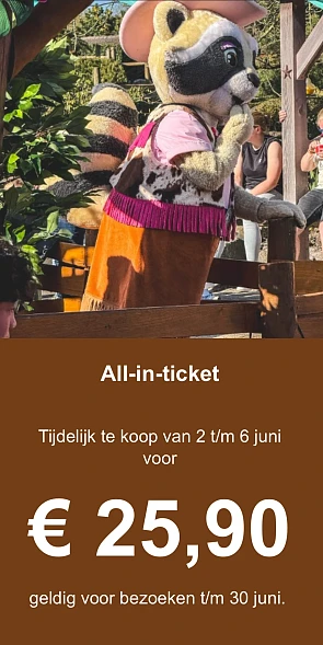 Slagharen all-in ticket juni