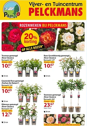 Alle rozen -20% bij Pelckmans
