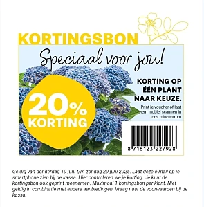 20% korting op één plant naar keuze bij Tuincentrum Meijers