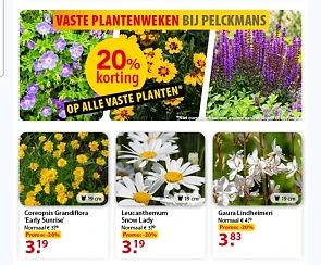20% korting op alle vaste planten bij Pelckmans