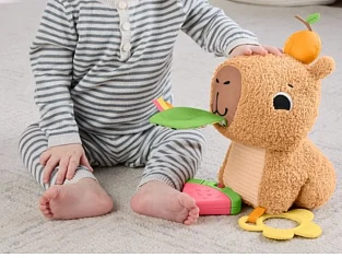 Fisher-Price Capibara Knuffel -50%