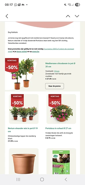 Citrusboom- 50%