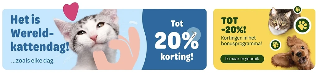 Wereldkattendag