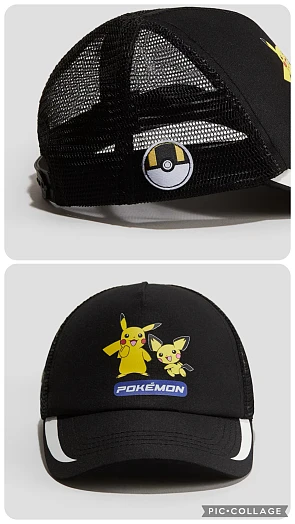 Pokémon pet -70%