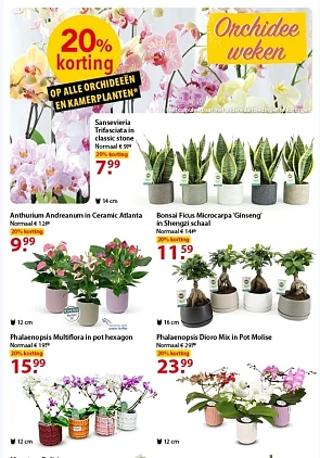 Alle orchideeën en kamerplanten -20%