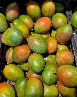 Iemand een lekker ideetje voor Mango 1+1 gratis bij Albert Heijn?