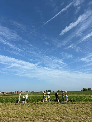 🌱Gratis boontjes plukken in Esen 🌱 op=op