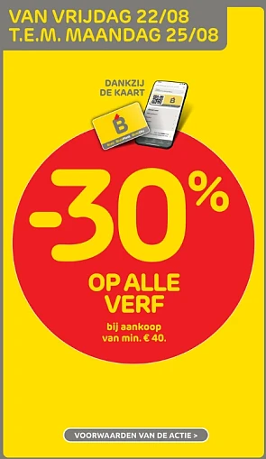 -30% op alle verf bij Brico