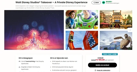 Exclusieve Disney Experience vanaf € 199 per persoon 🎢