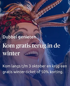 Toverland Winteractie: gratis tweede bezoek