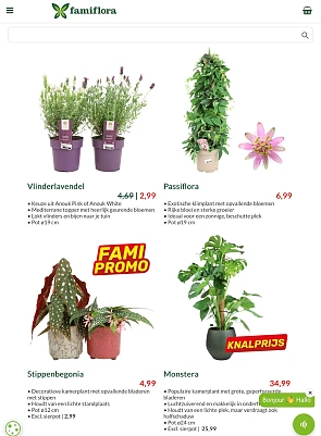 Vlinderlavendel