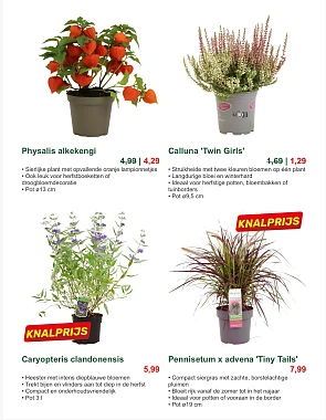 Tuin en kamerplanten