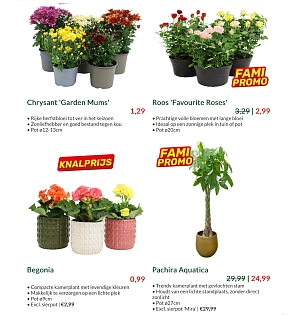 Image of gratis