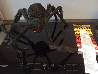 Image of halloween