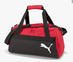Image of puma