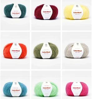 ColorWool: 5 bollen € 25