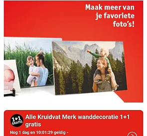 Kruidvat wanddecoratie 1+1 gratis
