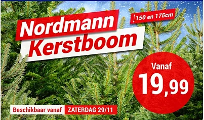 Nordmann kerstbomen vanaf €19,99