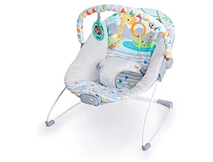 Bright Starts Babywipstoel