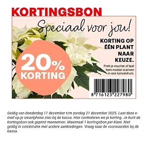 Image of citrusplant