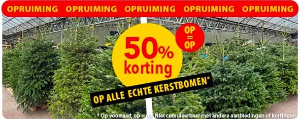 50% korting op alle echte kerstbomen bij Pelckmans